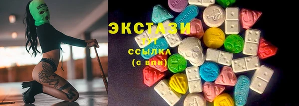 СК Алексин