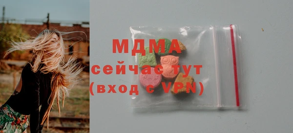 СК Алексин