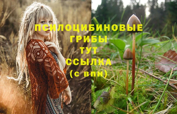 СК Алексин