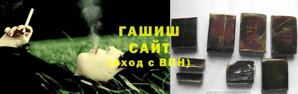 СК Алексин