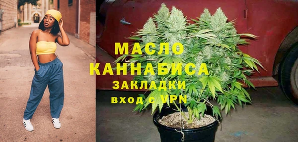 СК Алексин