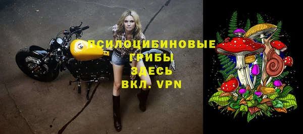 хмурый Протвино