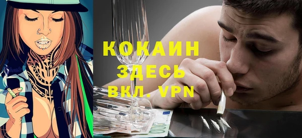 СК Алексин
