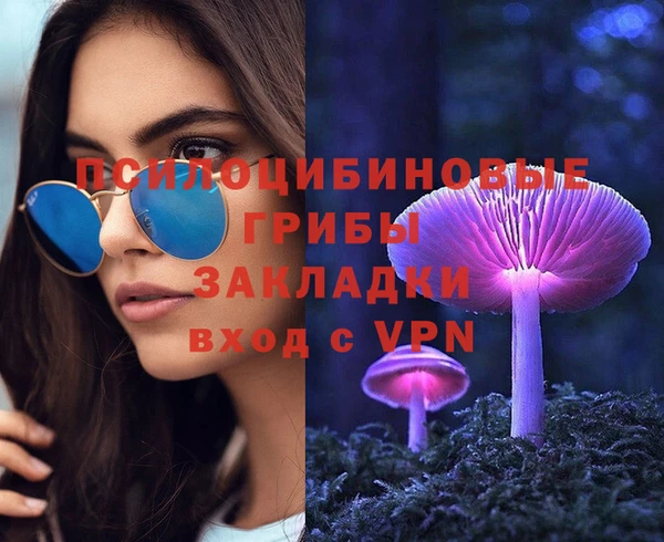 СК Алексин